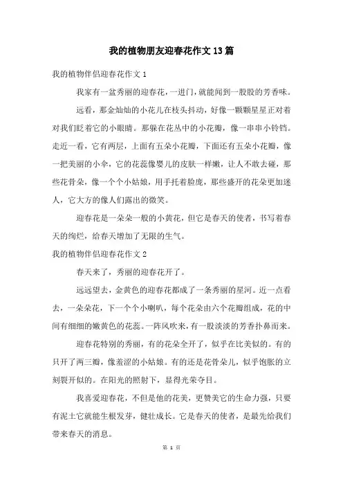 我的植物朋友迎春花作文13篇