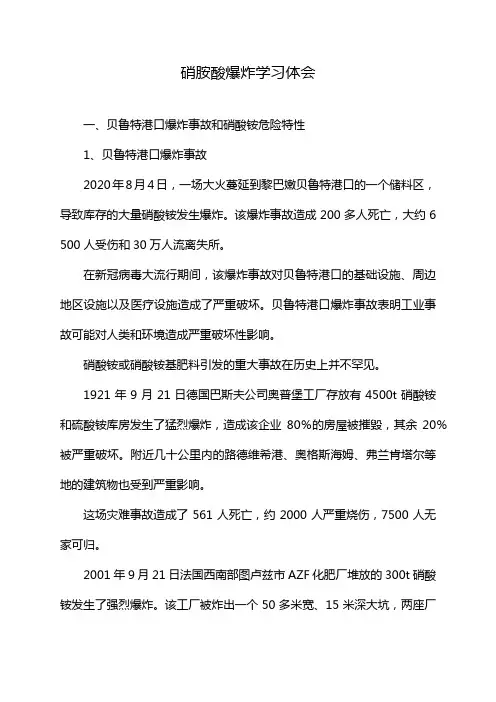 硝胺酸爆炸学习体会