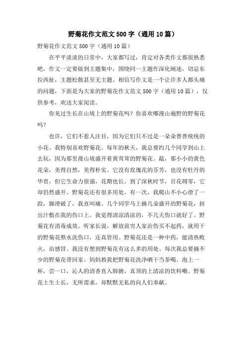 野菊花作文范文500字(通用10篇)