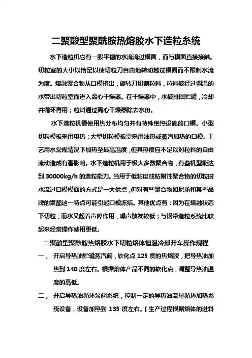 二聚酸型聚酰胺热熔胶水下造粒糸统操作培训