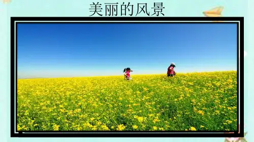高三微专题：旅游资源分析评价和旅游开发(共30张PPT)