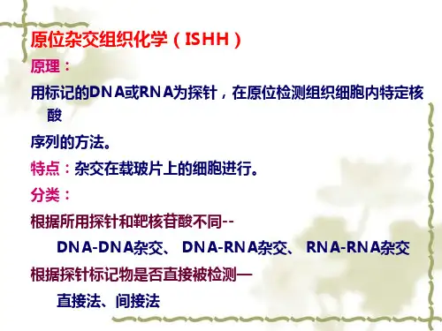 8第八章原位杂交组织化学gil