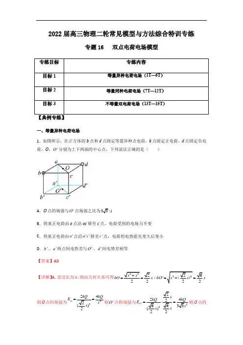 专题16 双点电荷电场模型(解析版)