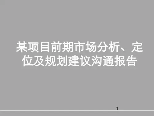 某项目前期市场分析、定位及规划建议沟通报告精品文档