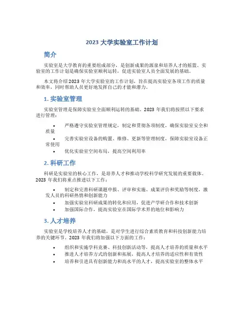 2023大学实验室工作计划