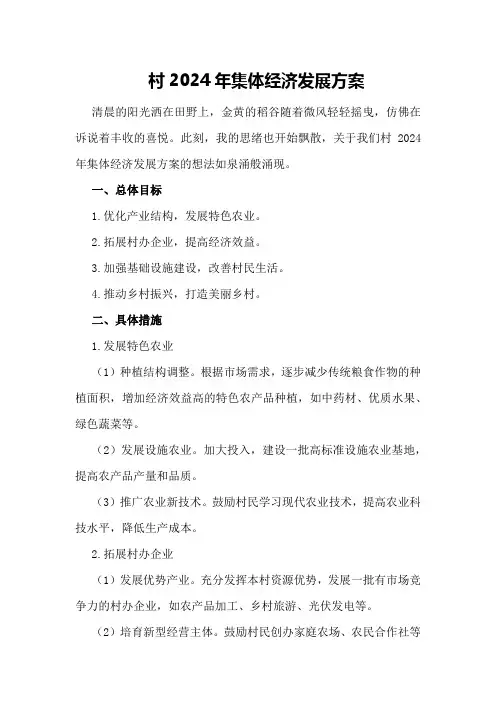 村2024年集体经济发展方案