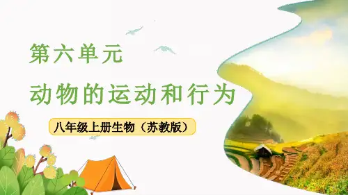 《动物行为的主要类型》PPT【精品】课件 苏教版