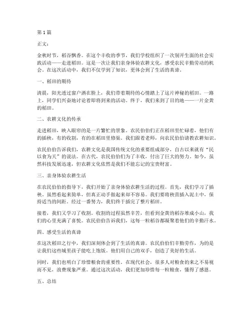 社会实践活动走进稻田(3篇)