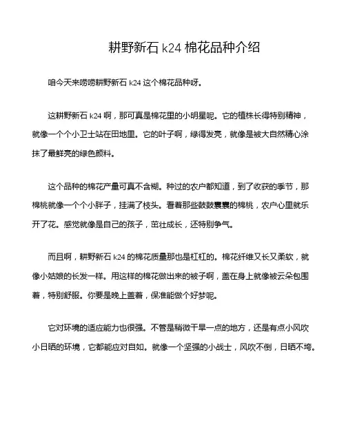 耕野新石k24棉花品种介绍