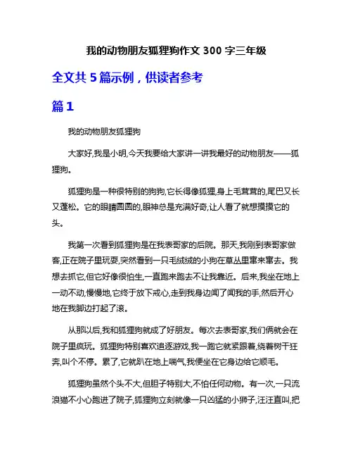我的动物朋友狐狸狗作文300字三年级