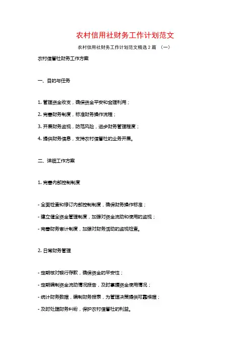 农村信用社财务工作计划范文2篇