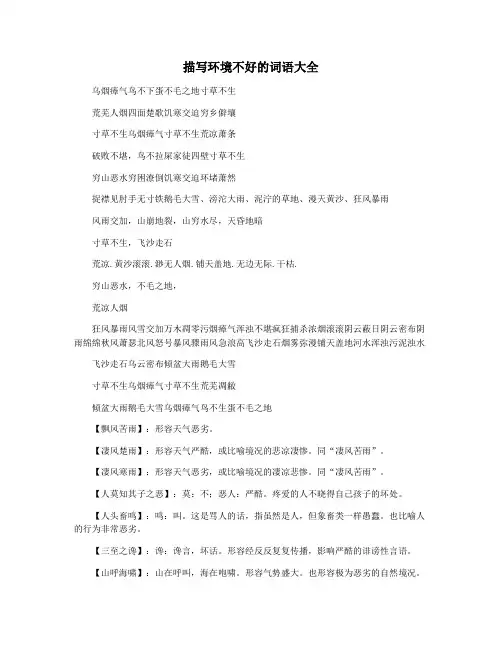 描写环境不好的词语大全