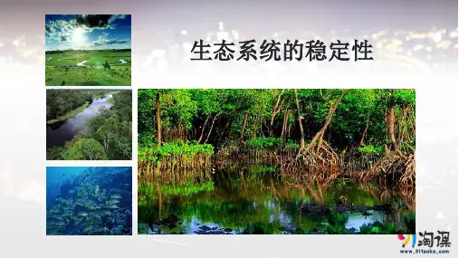 原创11：5.5 生态系统的稳定性