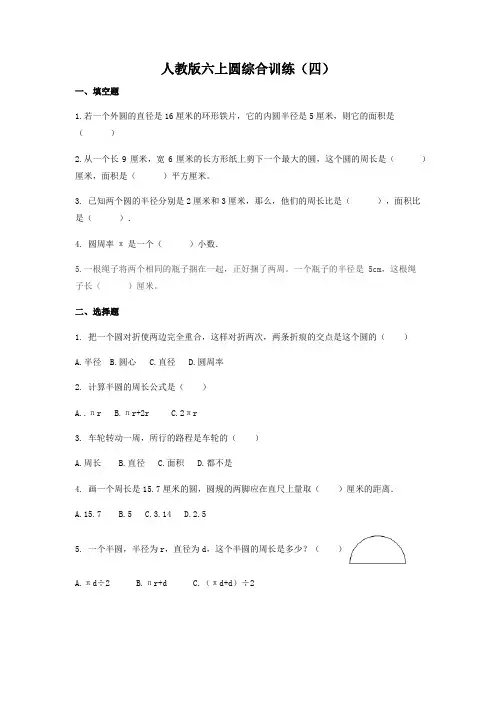 圆综合训练(单元测试)-数学  六年级上册