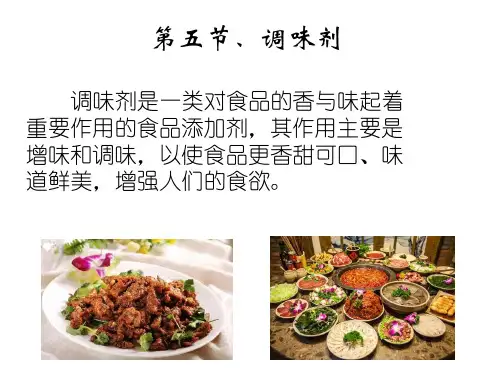 食品添加剂的生产—调味剂