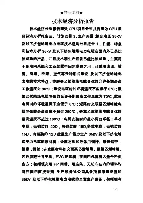技术经济分析报告
