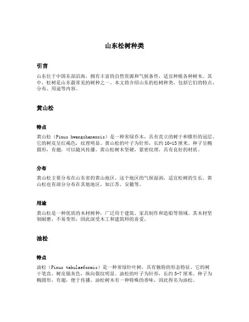 山东松树种类