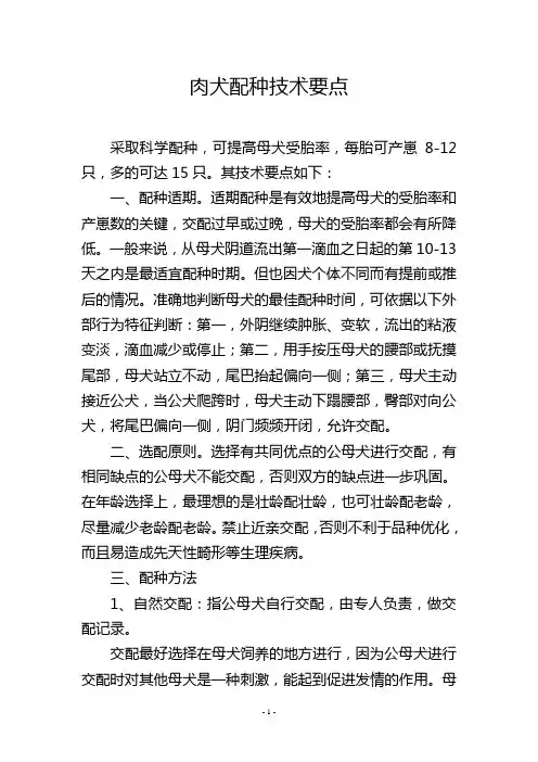 肉犬配种技术要点