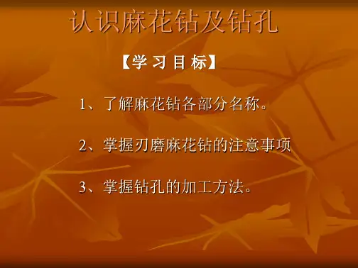 认识麻花钻及钻孔