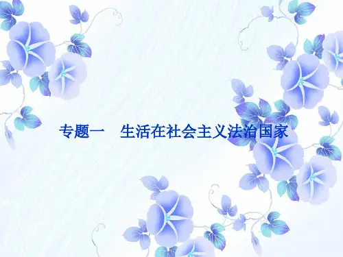 PPT教学课件生活在社会主义法治国家