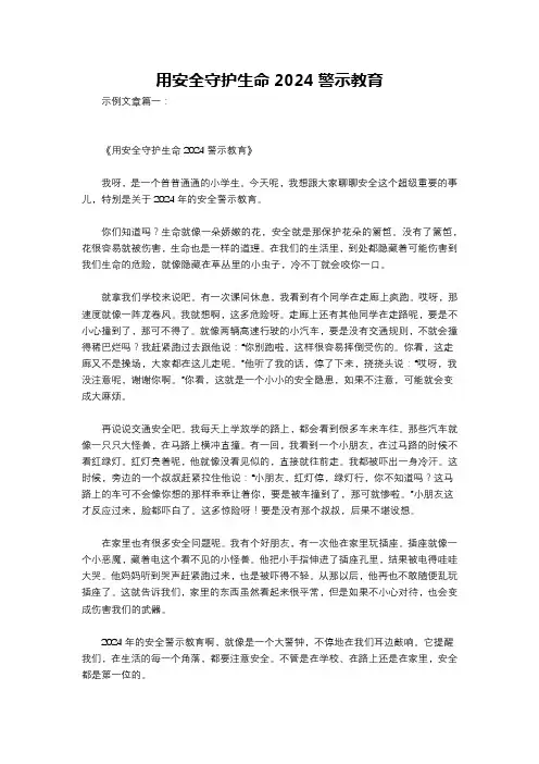 用安全守护生命2024警示教育