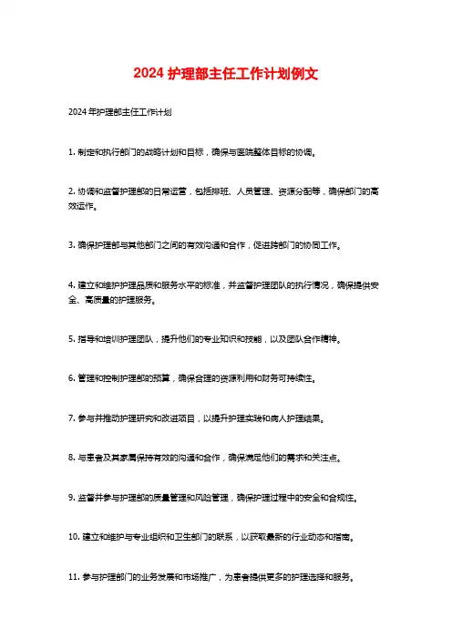 2024护理部主任工作计划例文