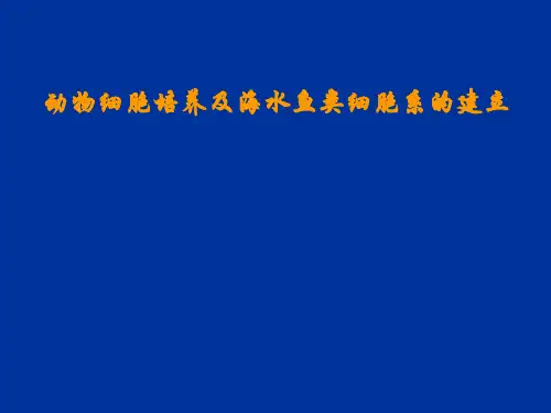 动物细胞培养及海水鱼类细胞系的建立-中山大学