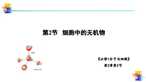 【课件】细胞中的无机物课件高一上学期生物人教版必修1