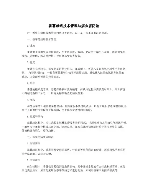 番薯栽培技术管理与病虫害防治