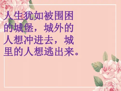 谈中国诗课件PPT
