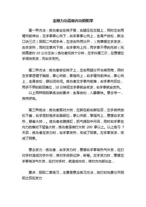 金刚力功高级内功阴阳掌