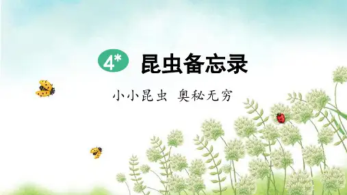 部编版三年级语文下册第4课《昆虫备忘录》教学课件