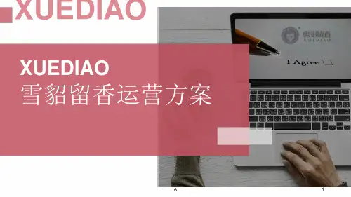 京东店铺运营方案最新PPT课件[文字可编辑]