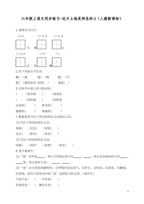 【精编】部编人教版六年级上册语文同步练习-这片土地是神圣的2-有答案.docx