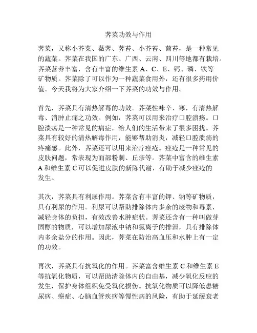 荠菜功效与作用