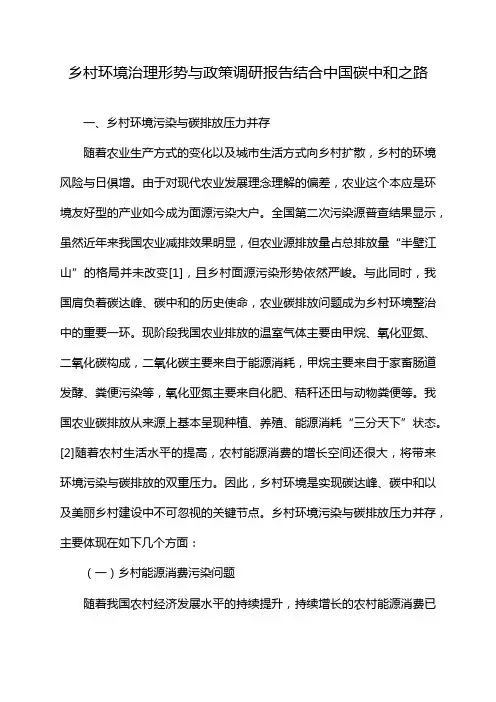 乡村环境治理形势与政策调研报告结合中国碳中和之路