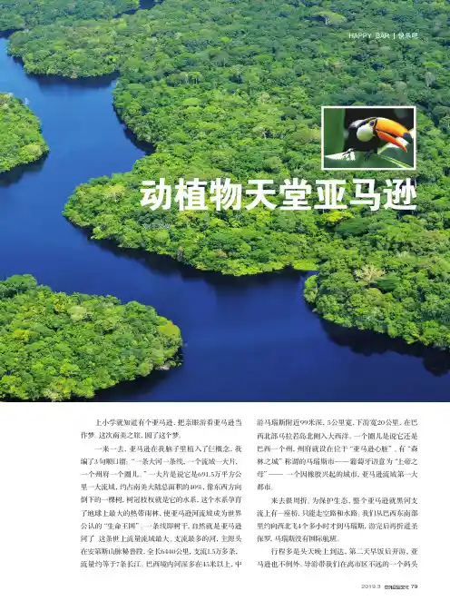 动植物天堂亚马逊