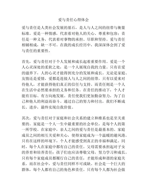 爱与责任心得体会