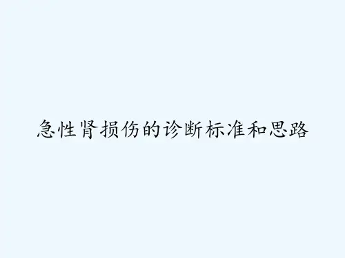 急性肾损伤的诊断标准和思路ppt
