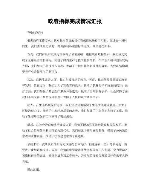 政府指标完成情况汇报