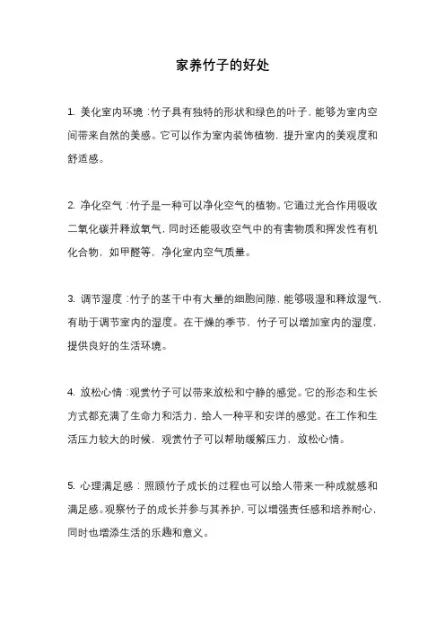 家养竹子的好处