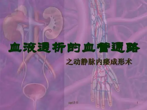 血液透析的血管通路  ppt课件