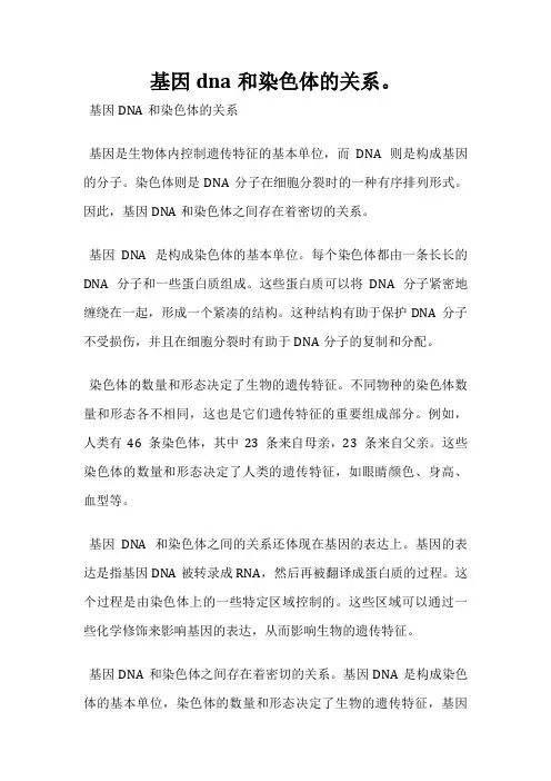 基因dna和染色体的关系。