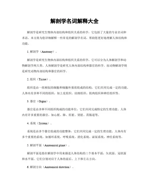 解剖学名词解释大全