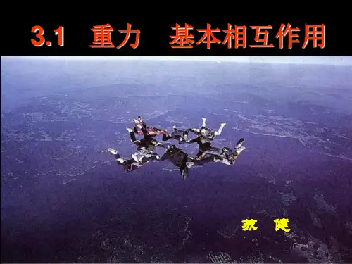 高中物理必修一第三章