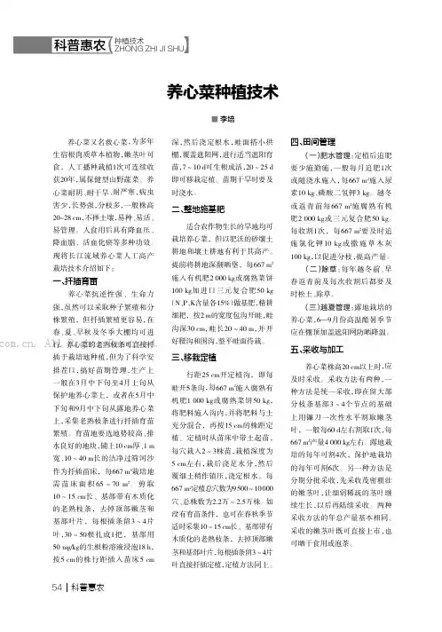 养心菜种植技术