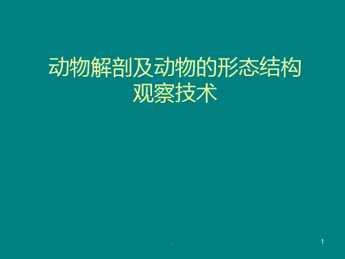 动物解剖及动物的形态结构分解ppt课件