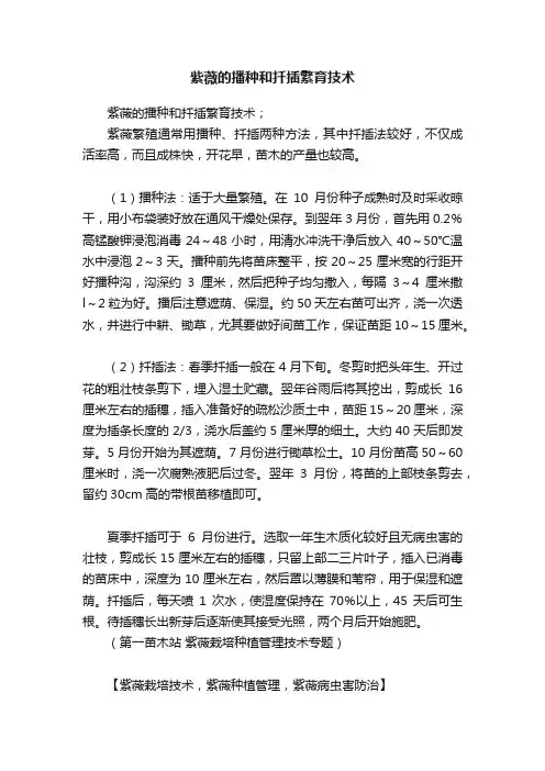 紫薇的播种和扦插繁育技术
