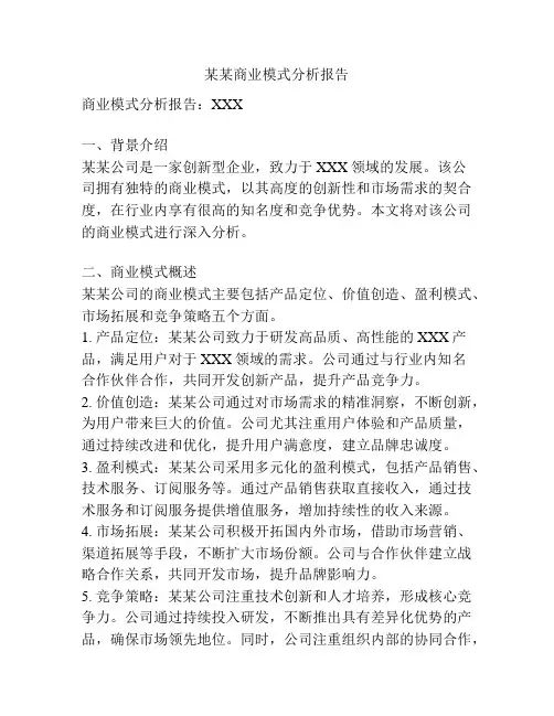某某商业模式分析报告