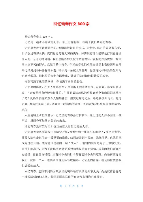 回忆青春作文800字